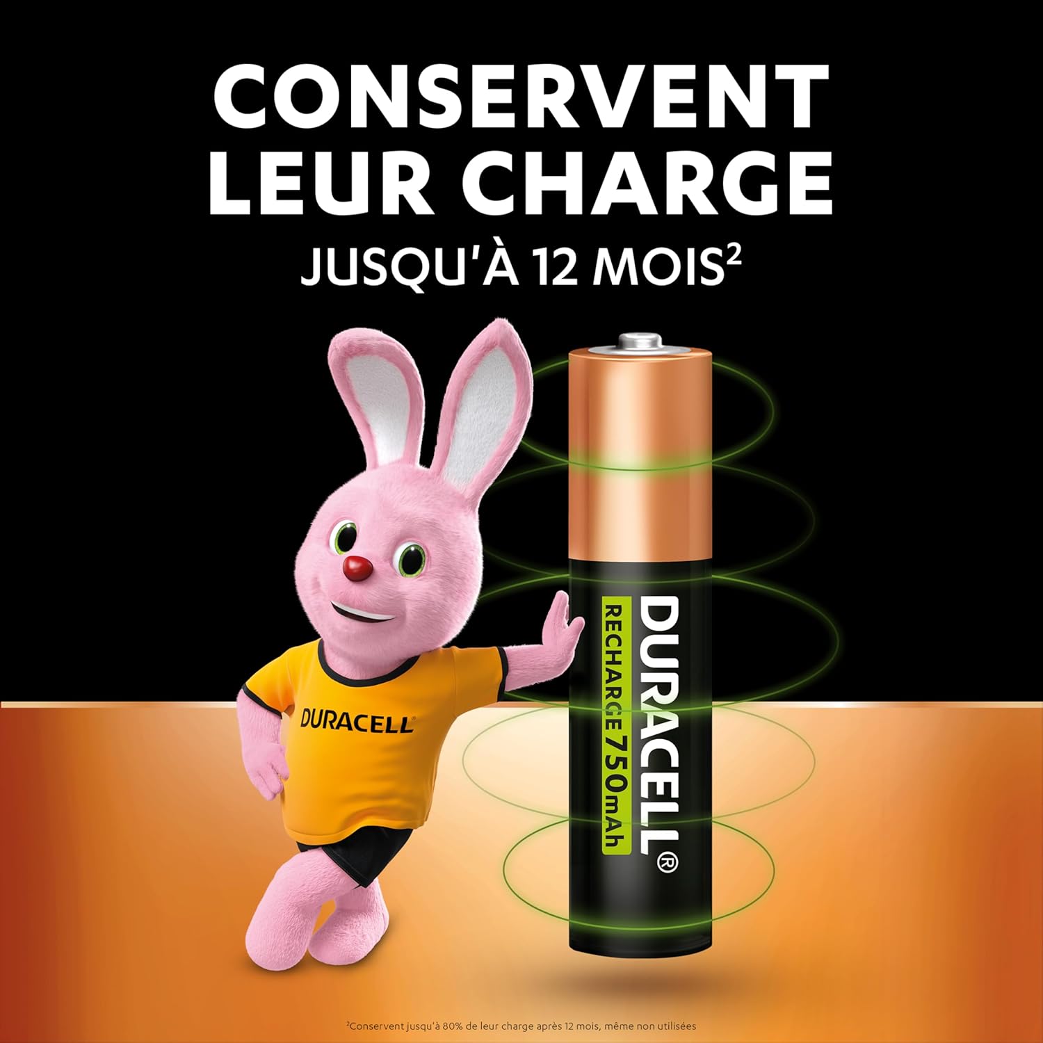 Piles rechargeables AAA Duracell 750 mAh, lot de 4, pré-chargées - vue 6